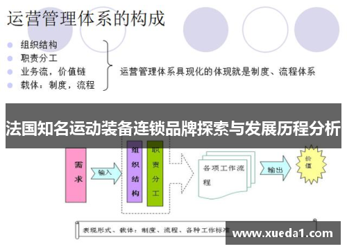 法国知名运动装备连锁品牌探索与发展历程分析