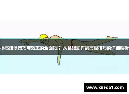 提高蛙泳技巧与效率的全面指南 从基础动作到高级技巧的详细解析