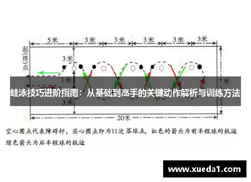 蛙泳技巧进阶指南：从基础到高手的关键动作解析与训练方法