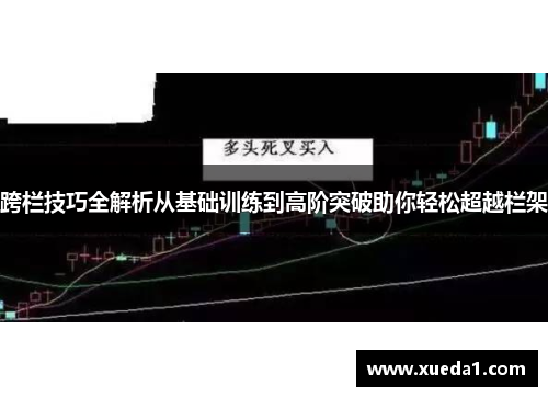 跨栏技巧全解析从基础训练到高阶突破助你轻松超越栏架